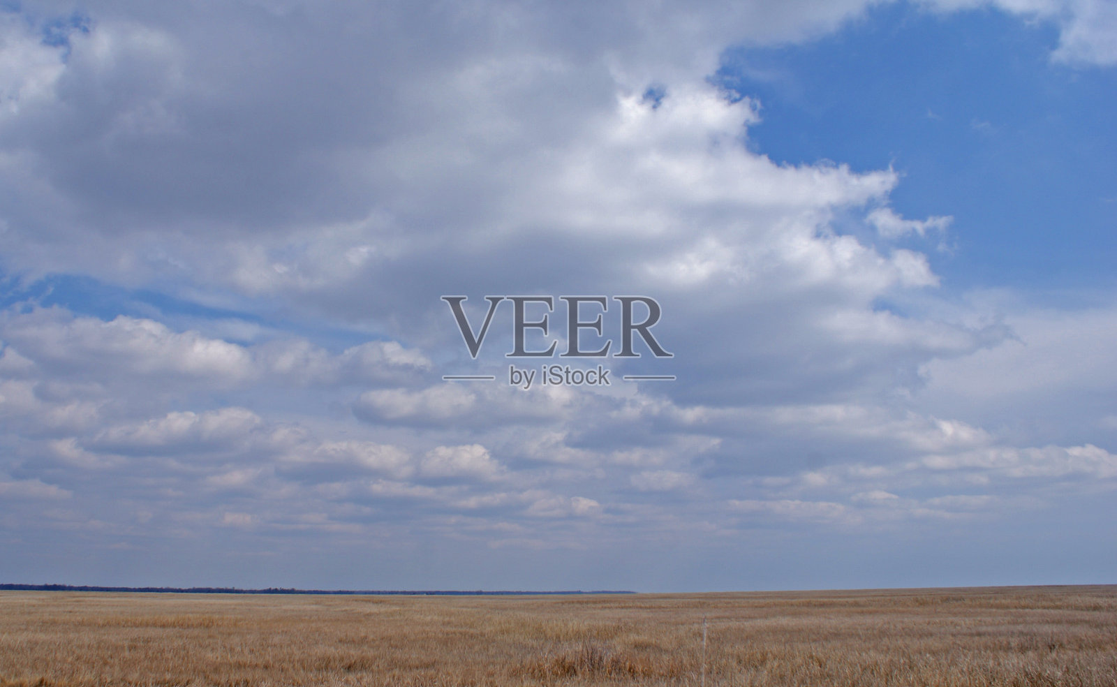 新泽西照片摄影图片