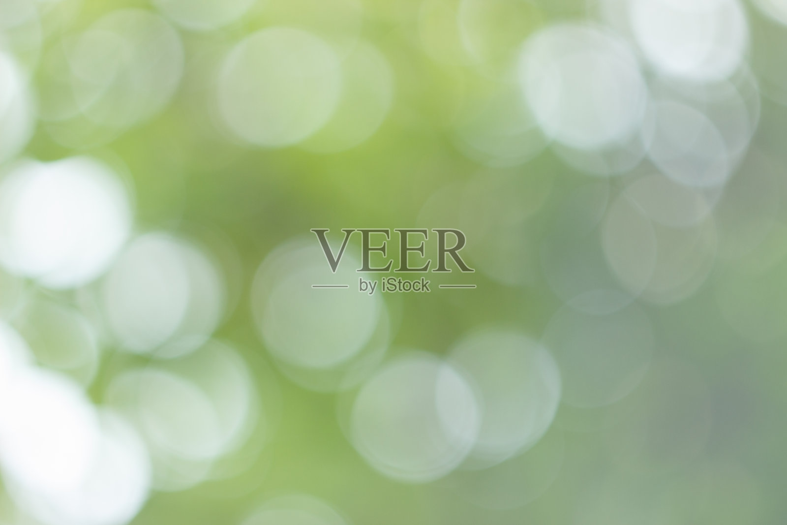 模糊的阳光透过植物照片摄影图片