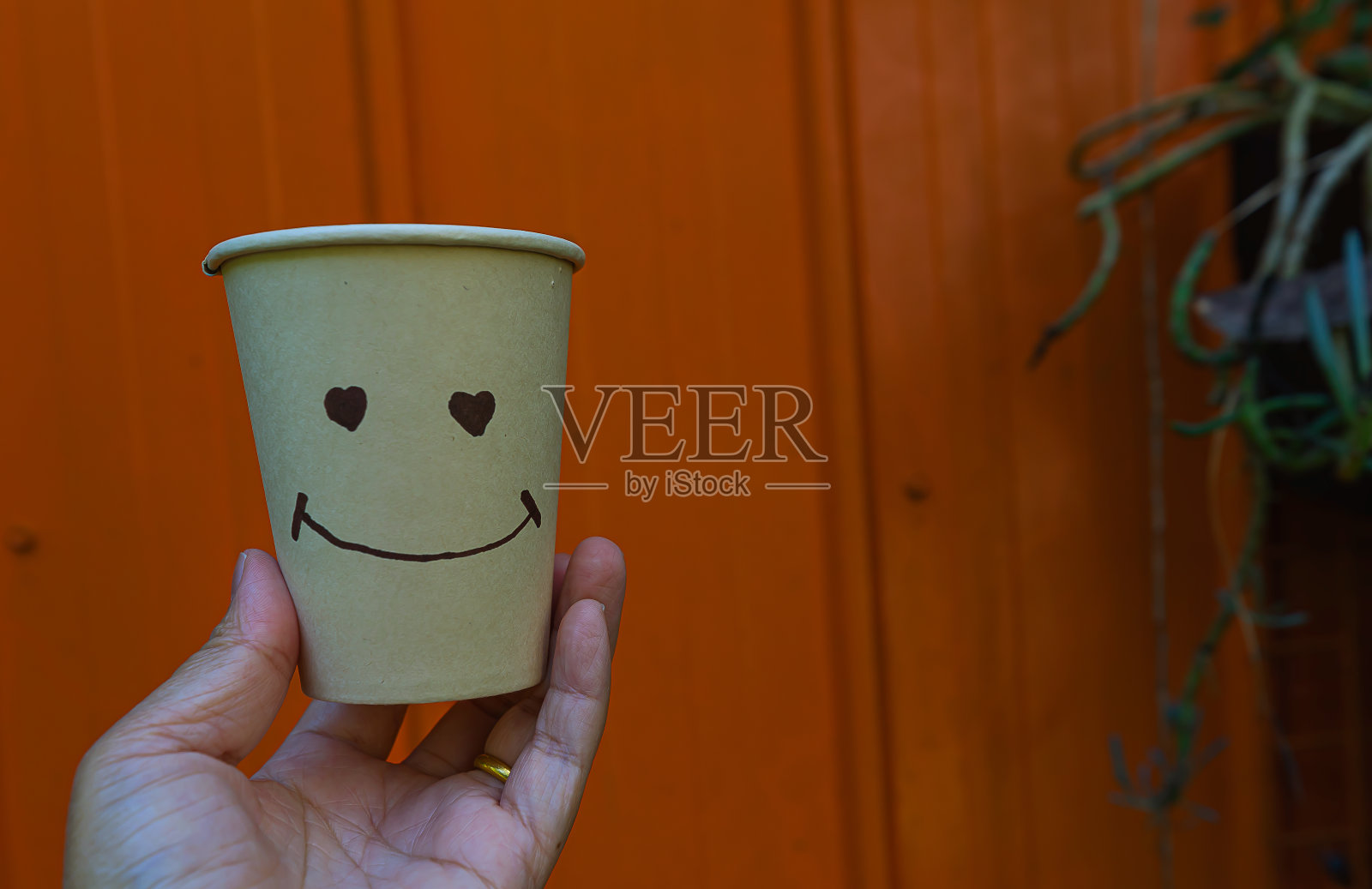 纸杯孤立照片摄影图片