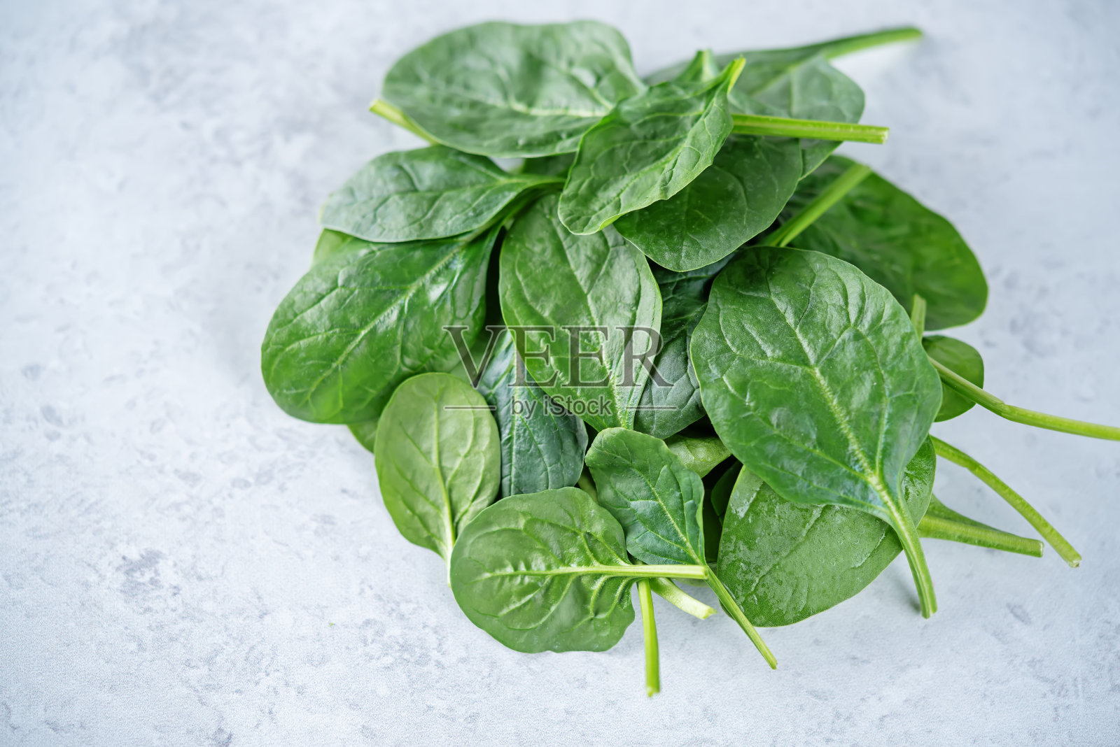 新鲜生菠菜叶照片摄影图片