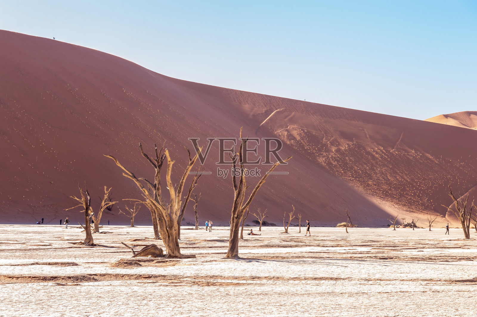 Deadvlei和sossusvlei附近的贫瘠景观照片摄影图片