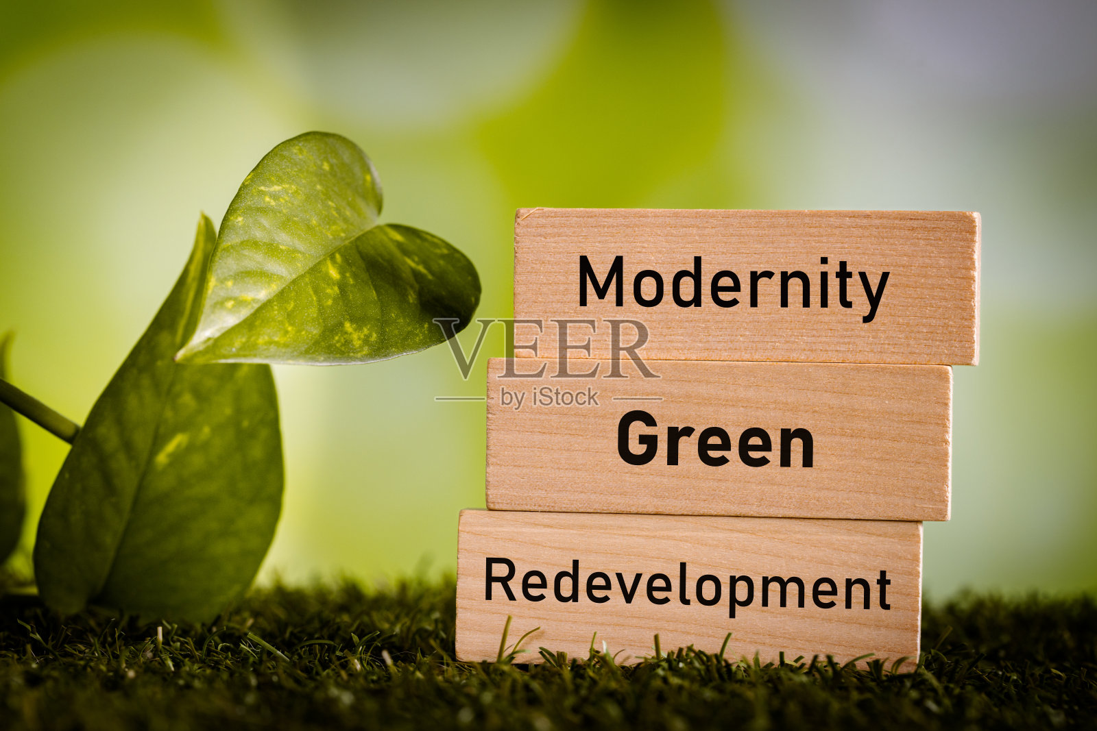 可持续绿色建筑，城市绿色再开发，概念，现有建筑适应气候变化。对人类和环境友好的创意建筑照片摄影图片