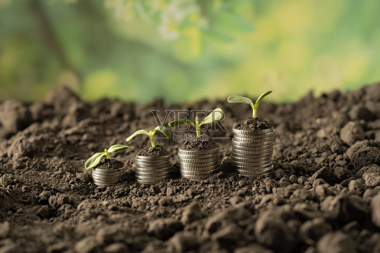 钱照片摄影图片