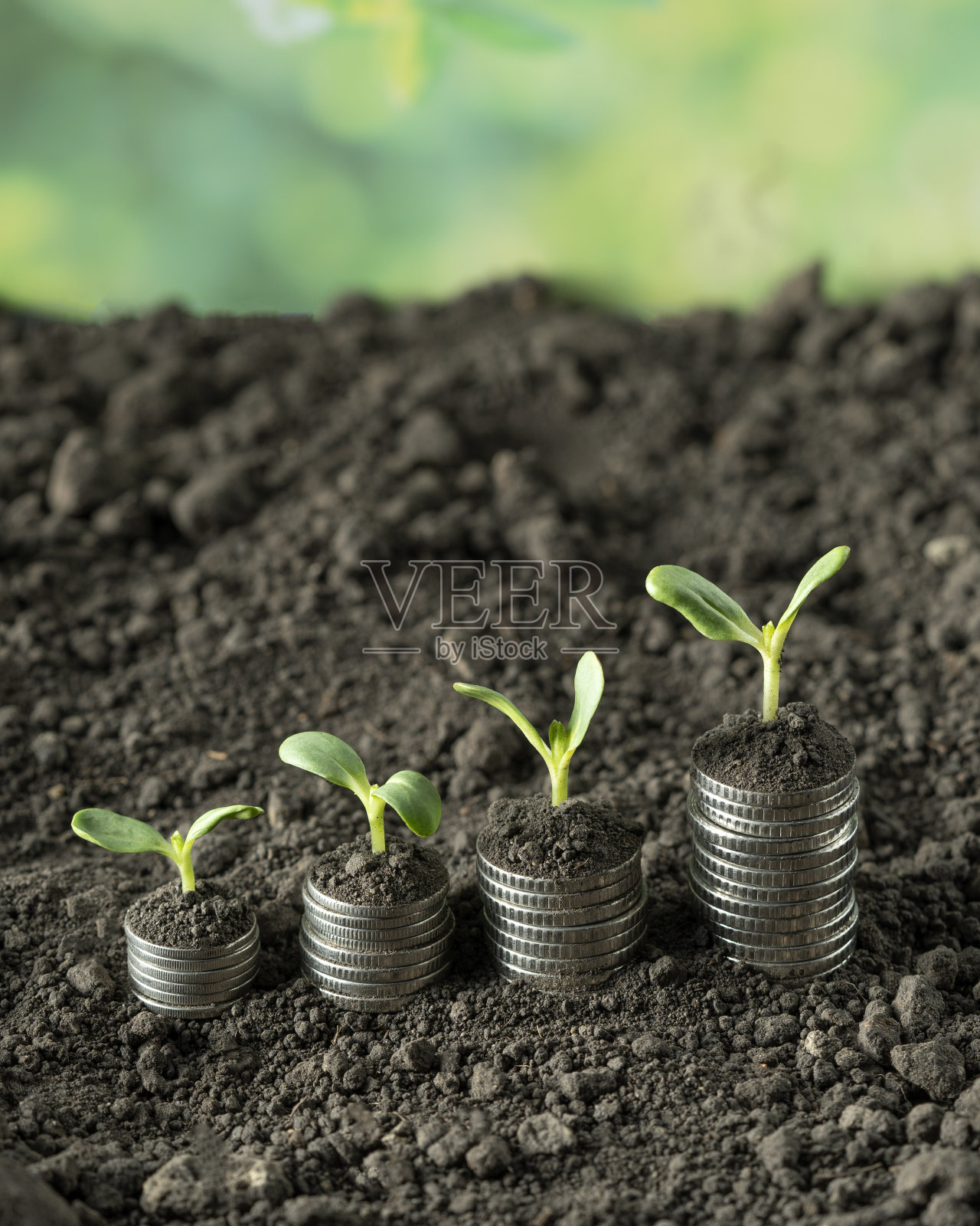 钱照片摄影图片