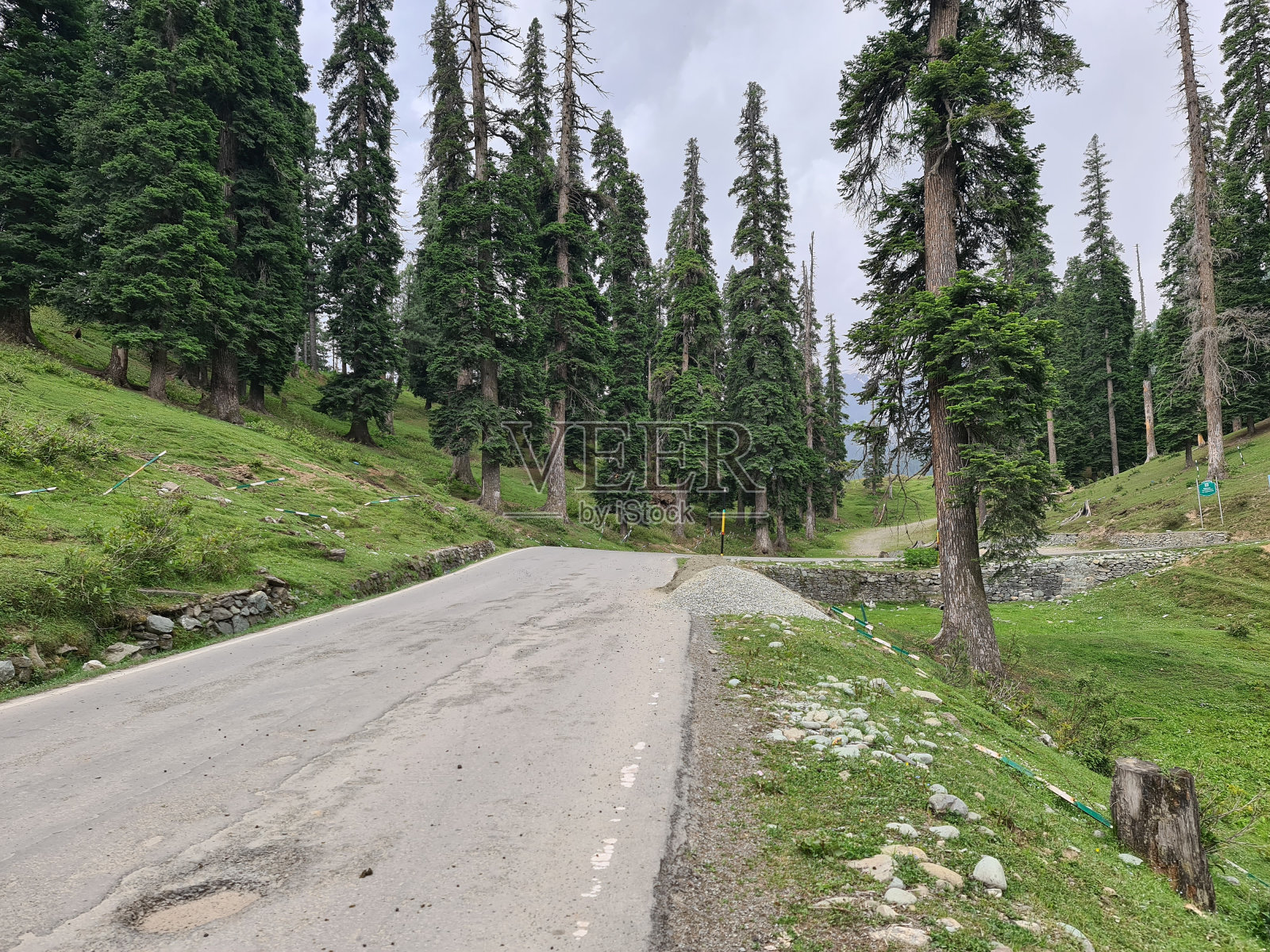 Gulmarg克什米尔风景优美照片摄影图片