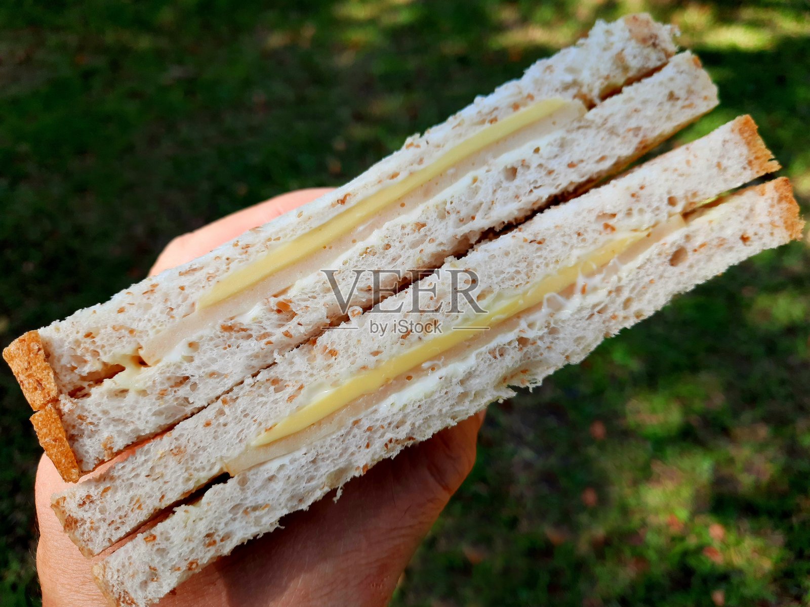 在公园吃火腿和奶酪三明治。照片摄影图片