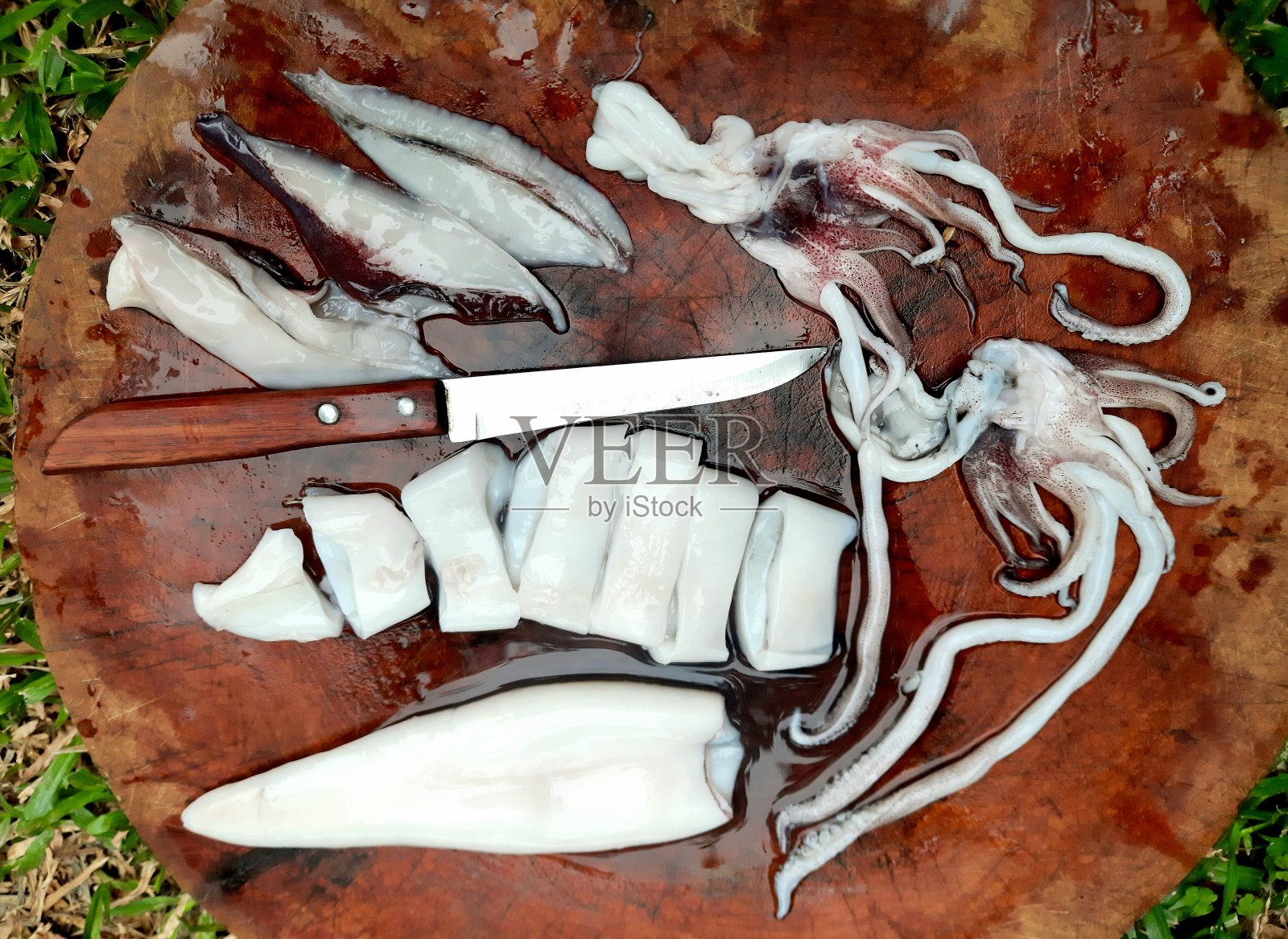 清洗和切割砧板上的鱿鱼-食物准备。照片摄影图片