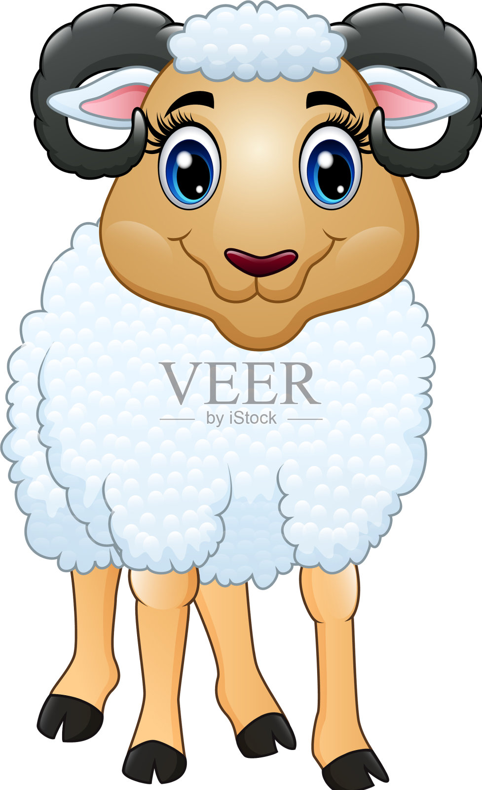 一只美丽的绵羊孤立在白色的背景设计元素图片