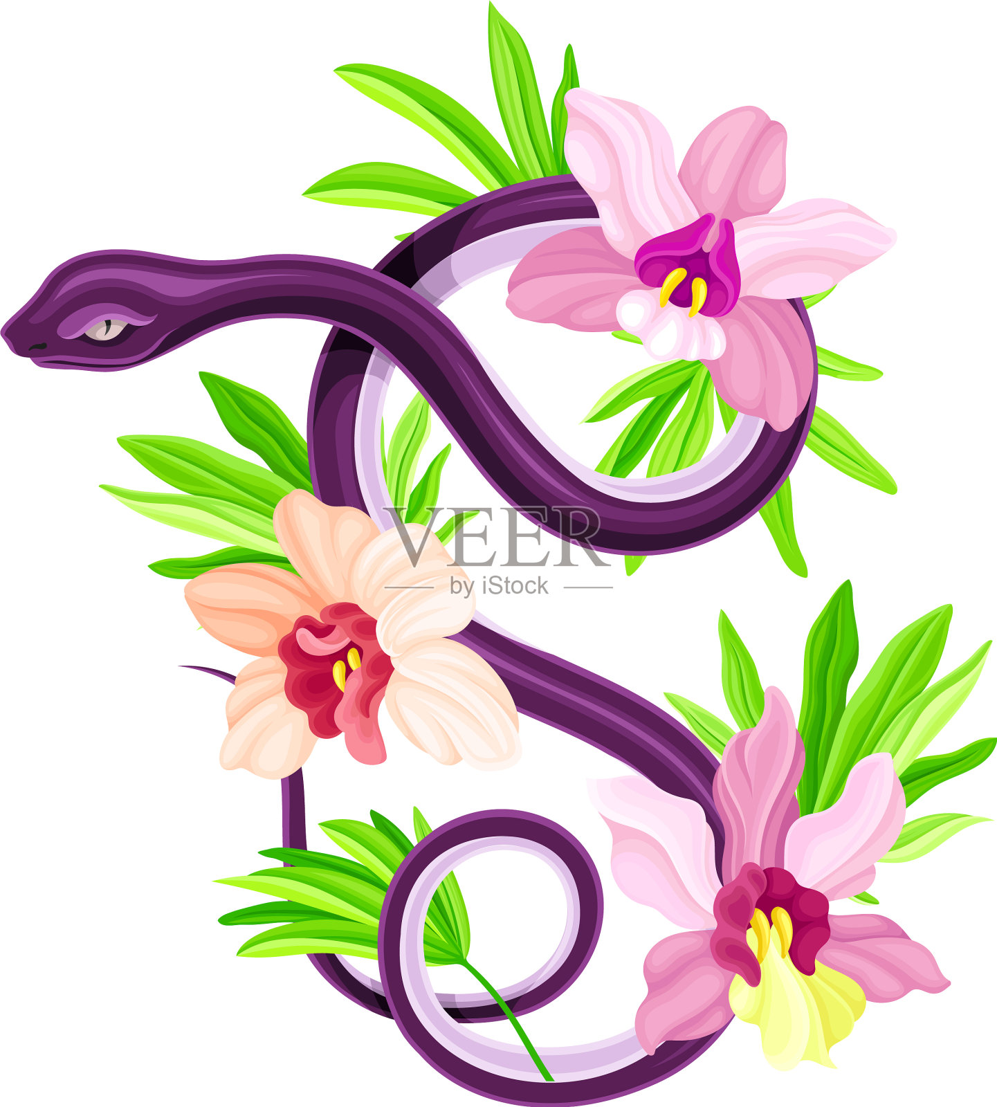 紫色的蛇盘绕在美丽的粉红色花朵上设计元素图片