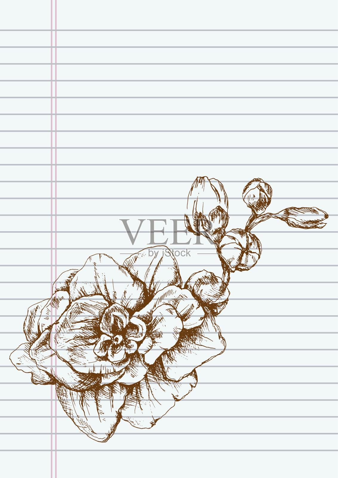 小苍兰花枝与芽在图形记事本上。向量插画图片素材