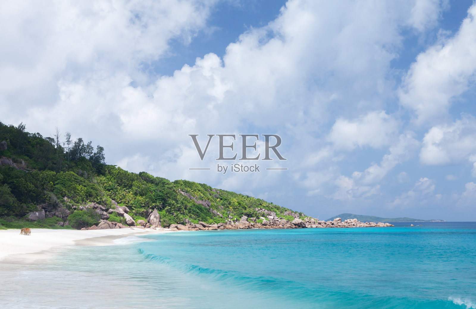 有棕榈树的热带海滩照片摄影图片