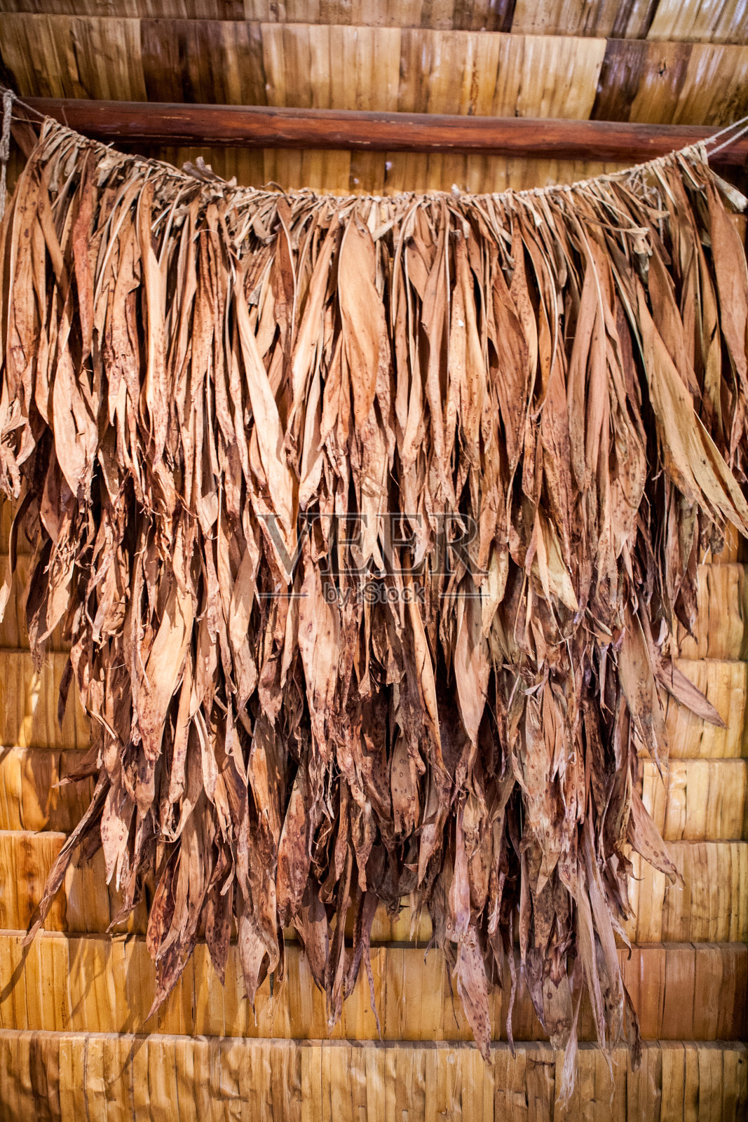 枯叶图照片摄影图片