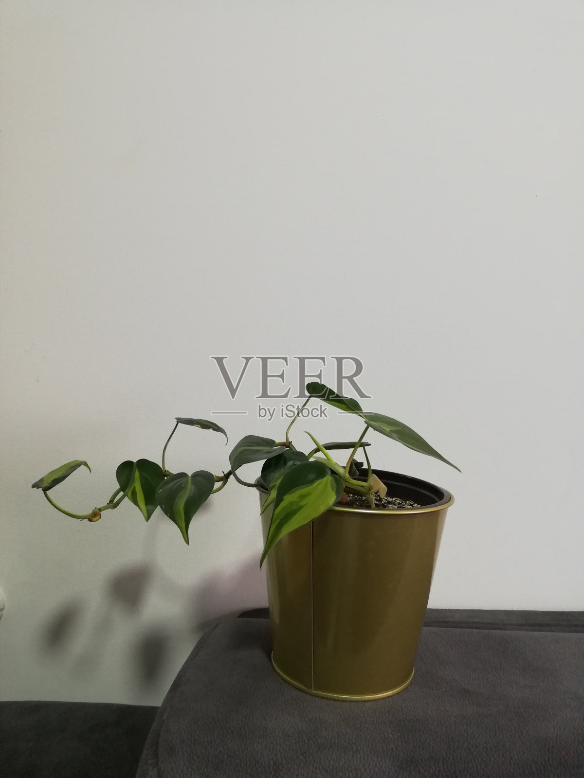 房屋装修照片摄影图片