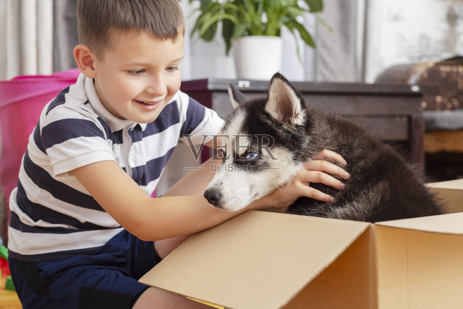 孩子从家里的纸板箱里拿出小狗。孩子有生日礼物照片摄影图片