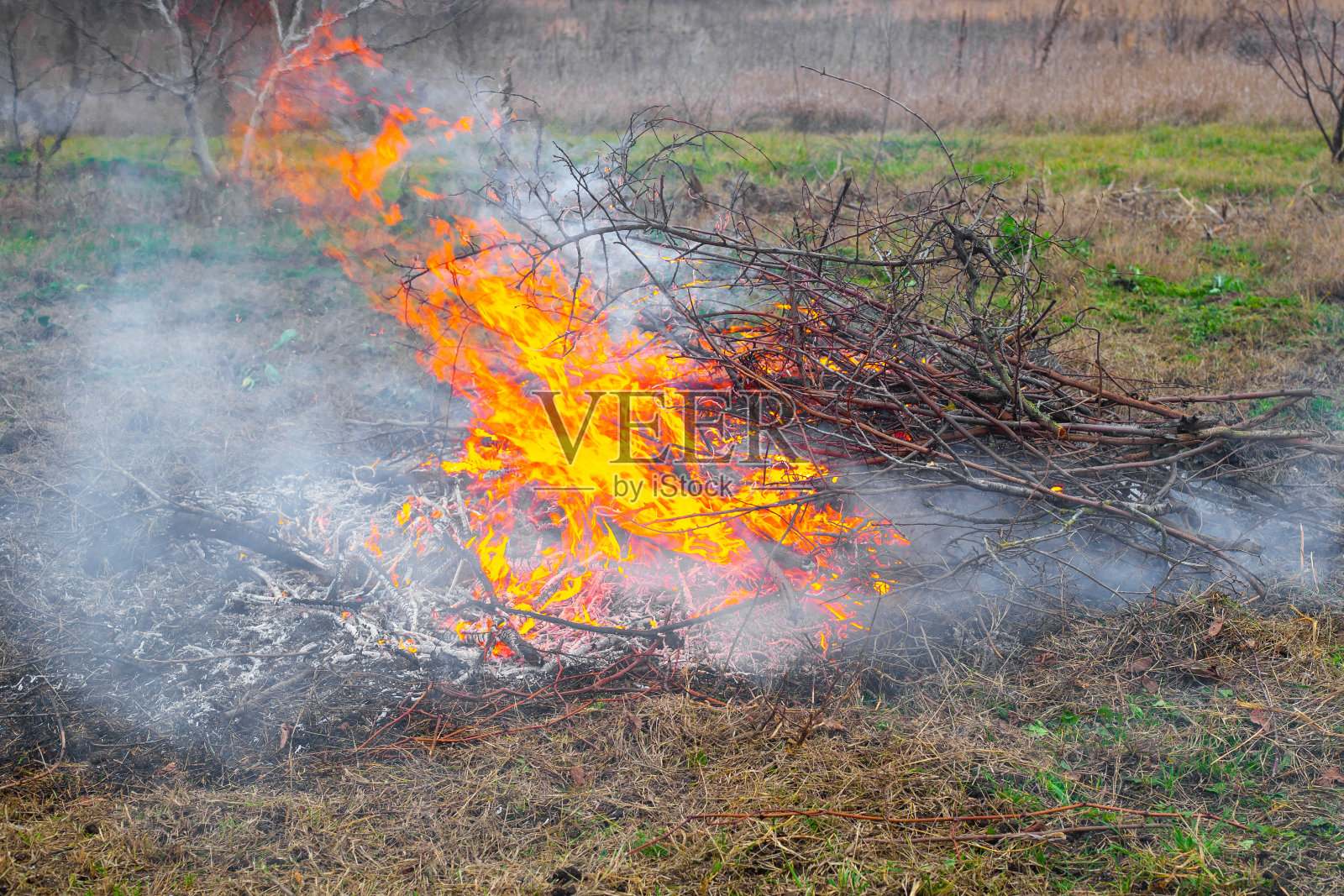 在田野里燃烧着干树枝。火和火的烟..照片摄影图片