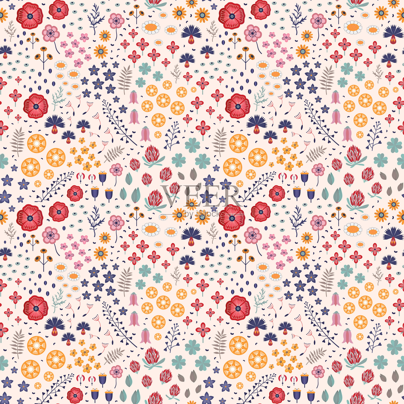 草甸杂草和花植物学格局插画图片素材