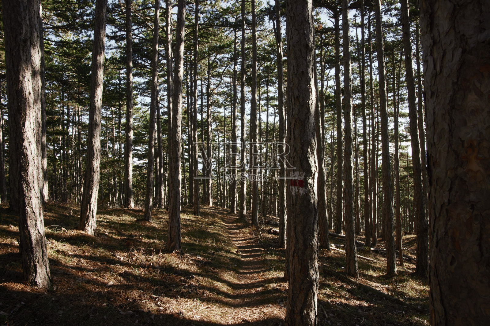 徒步旅行路线照片摄影图片