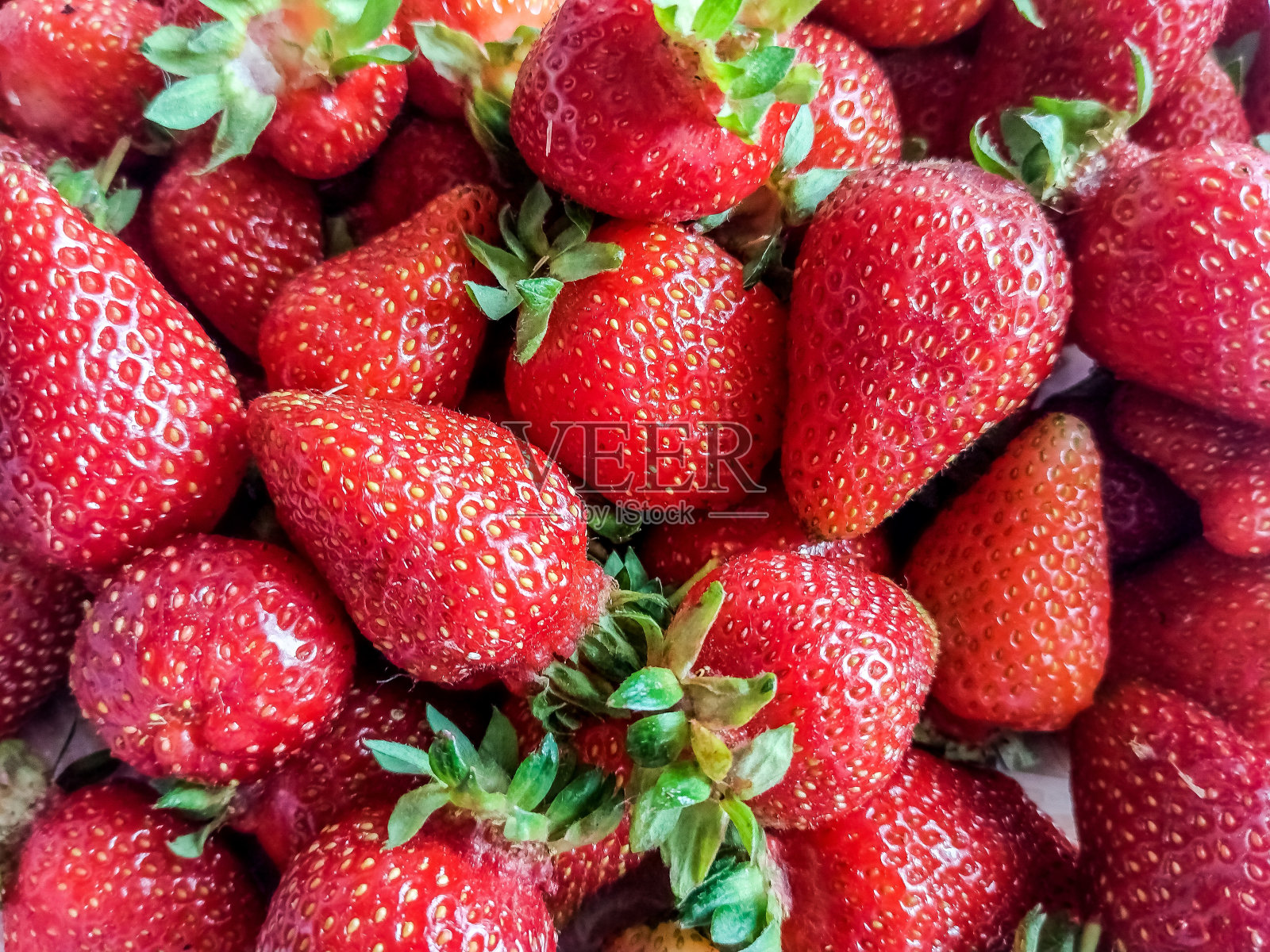 草莓群-新鲜水果照片摄影图片
