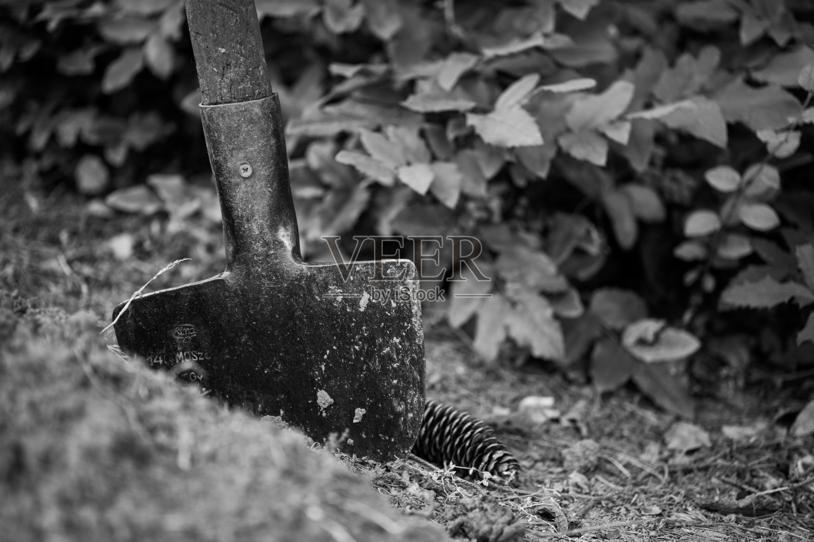 废弃的铁锹照片摄影图片