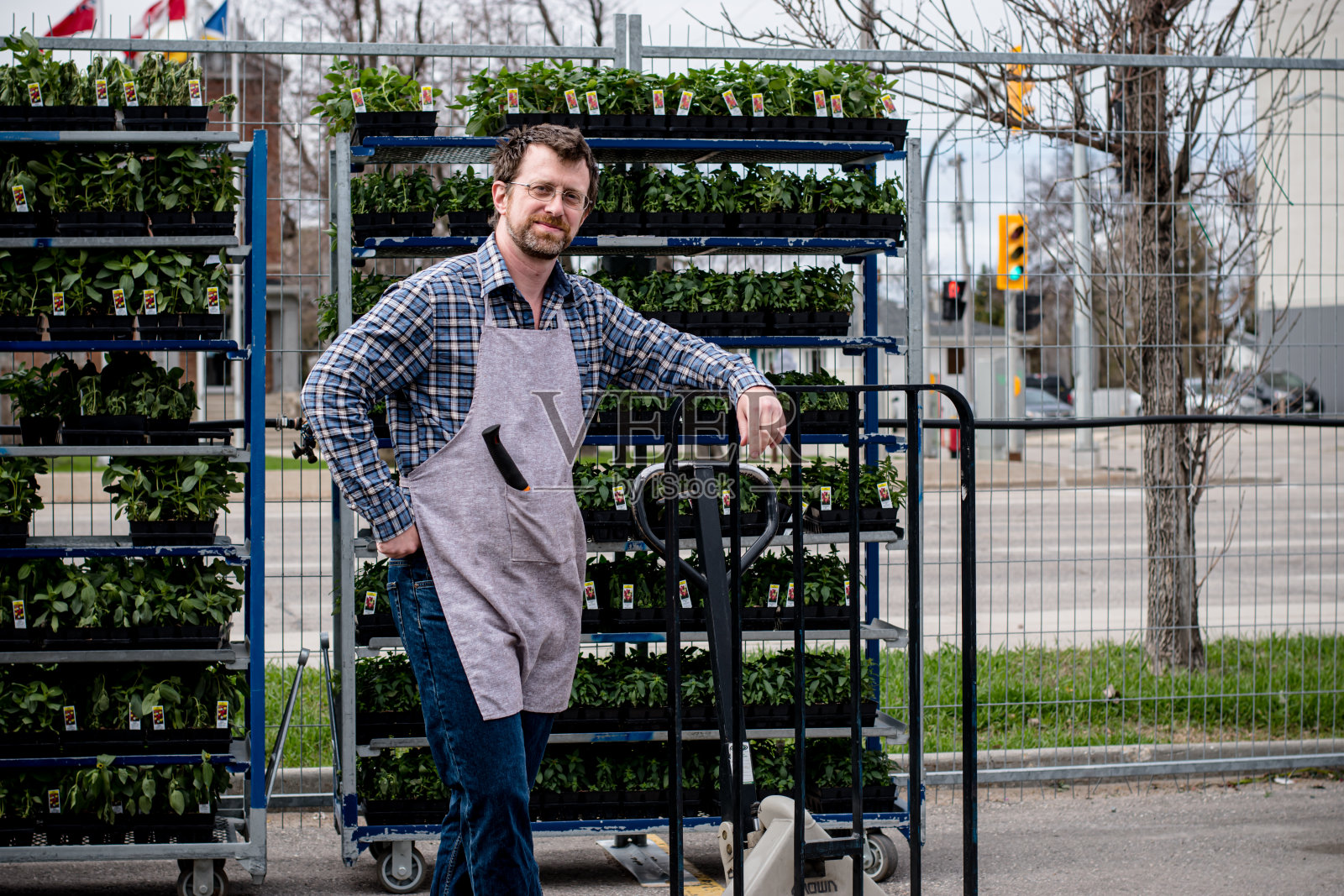 叉车照片摄影图片