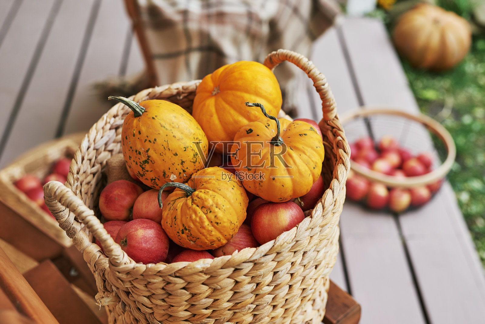 秋收梯田背景。万圣节。的国家。南瓜和鲜花。假期回家。感恩节照片摄影图片