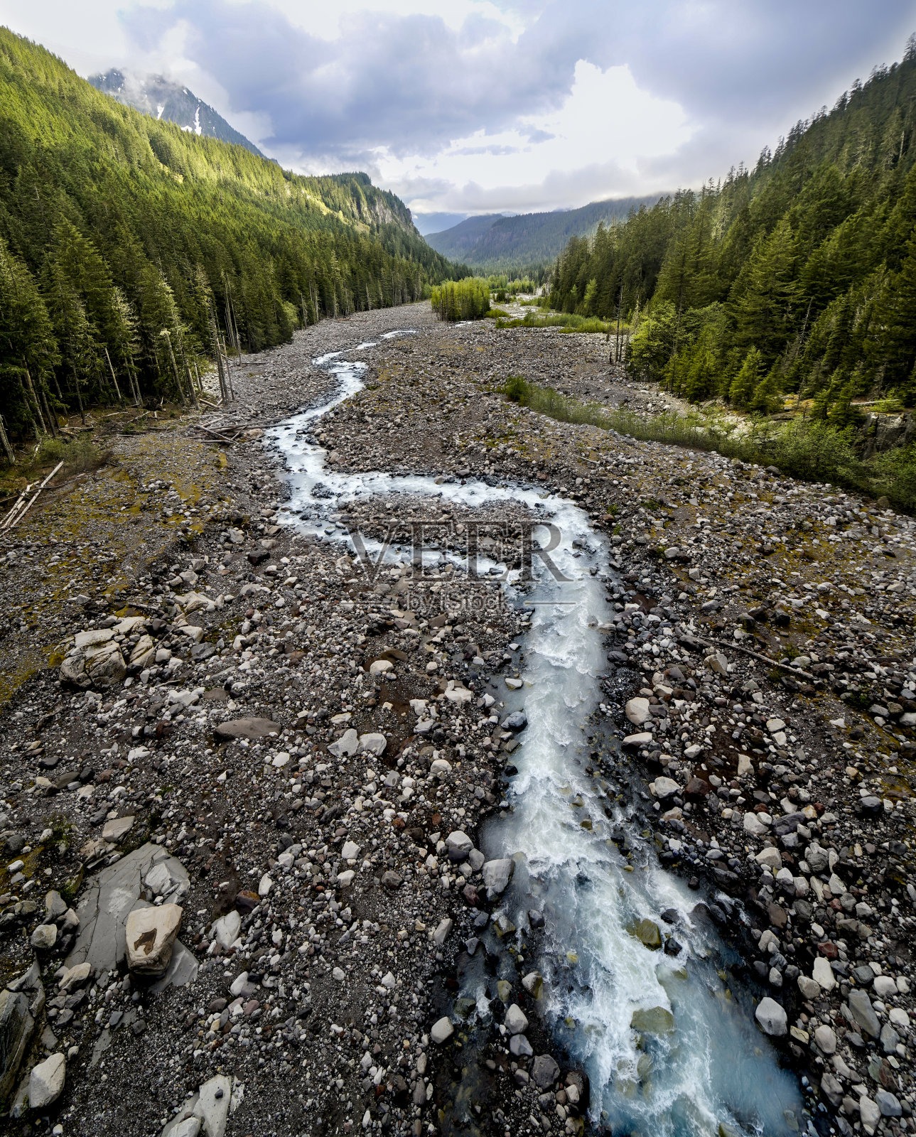 雷尼尔山2021照片摄影图片