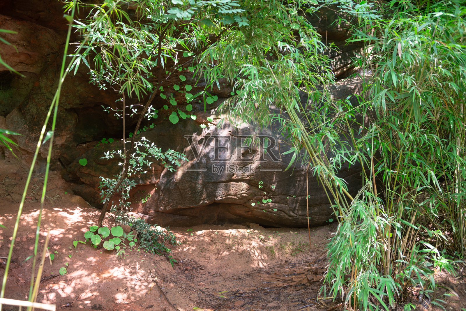 纳迦洞穴，令人惊叹的纳迦鳞片岩石山在普朗卡国家公园，泰国布坎。照片摄影图片