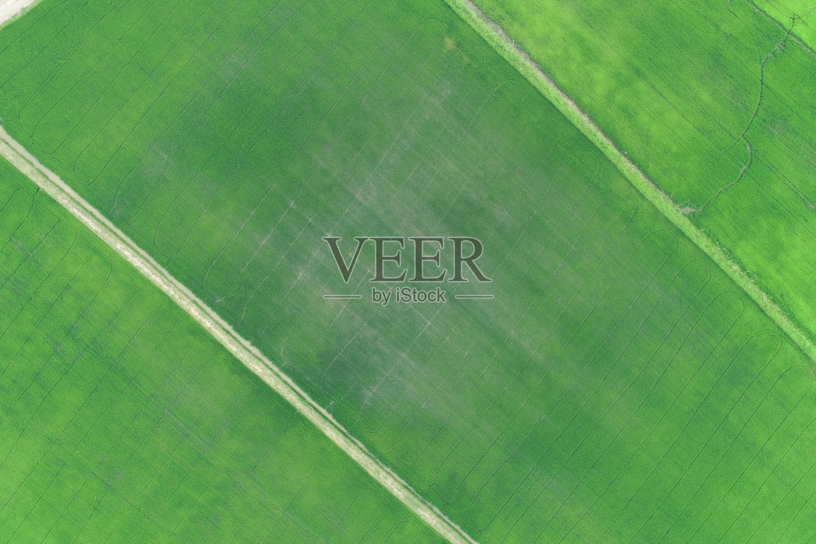 绿色稻田鸟瞰图泰国乡村照片摄影图片