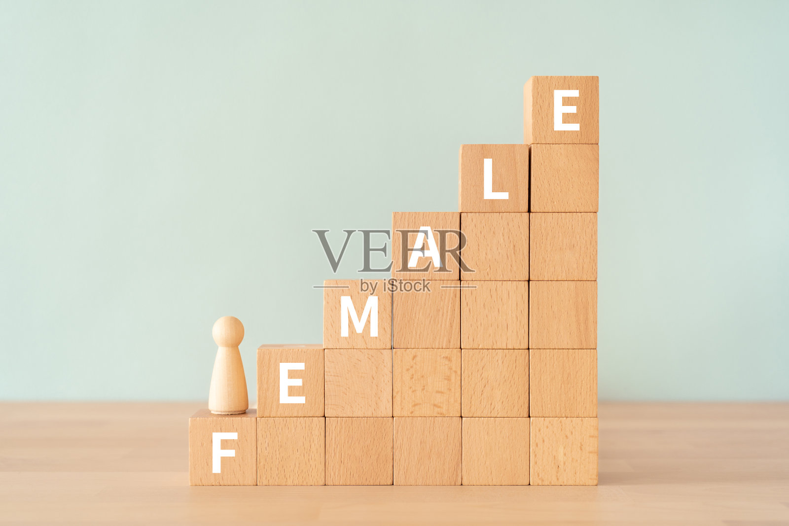 木块与“女性”的概念文本和一个人类玩具。照片摄影图片