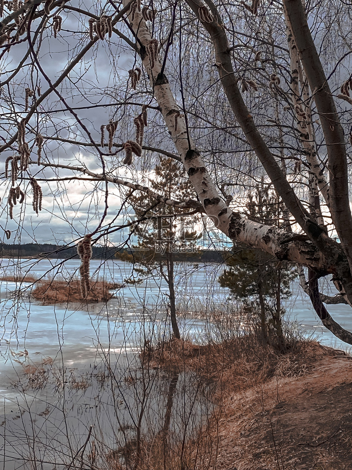 春天的流水照片摄影图片