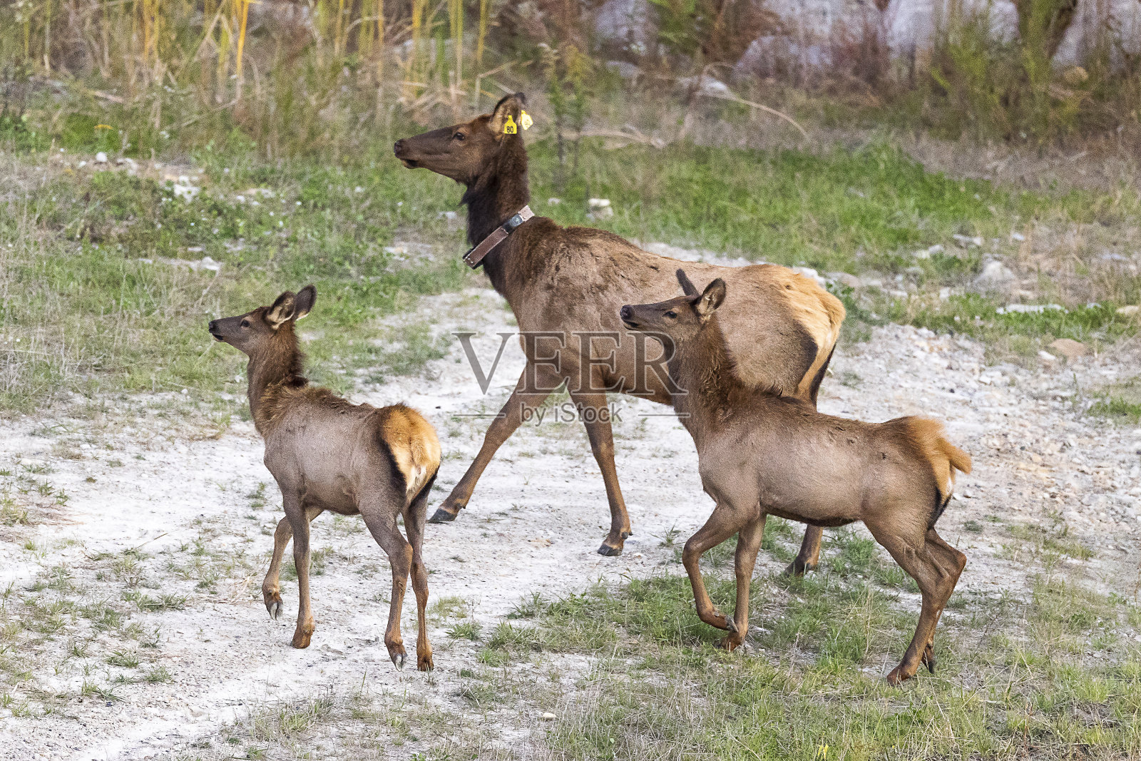 每照片摄影图片