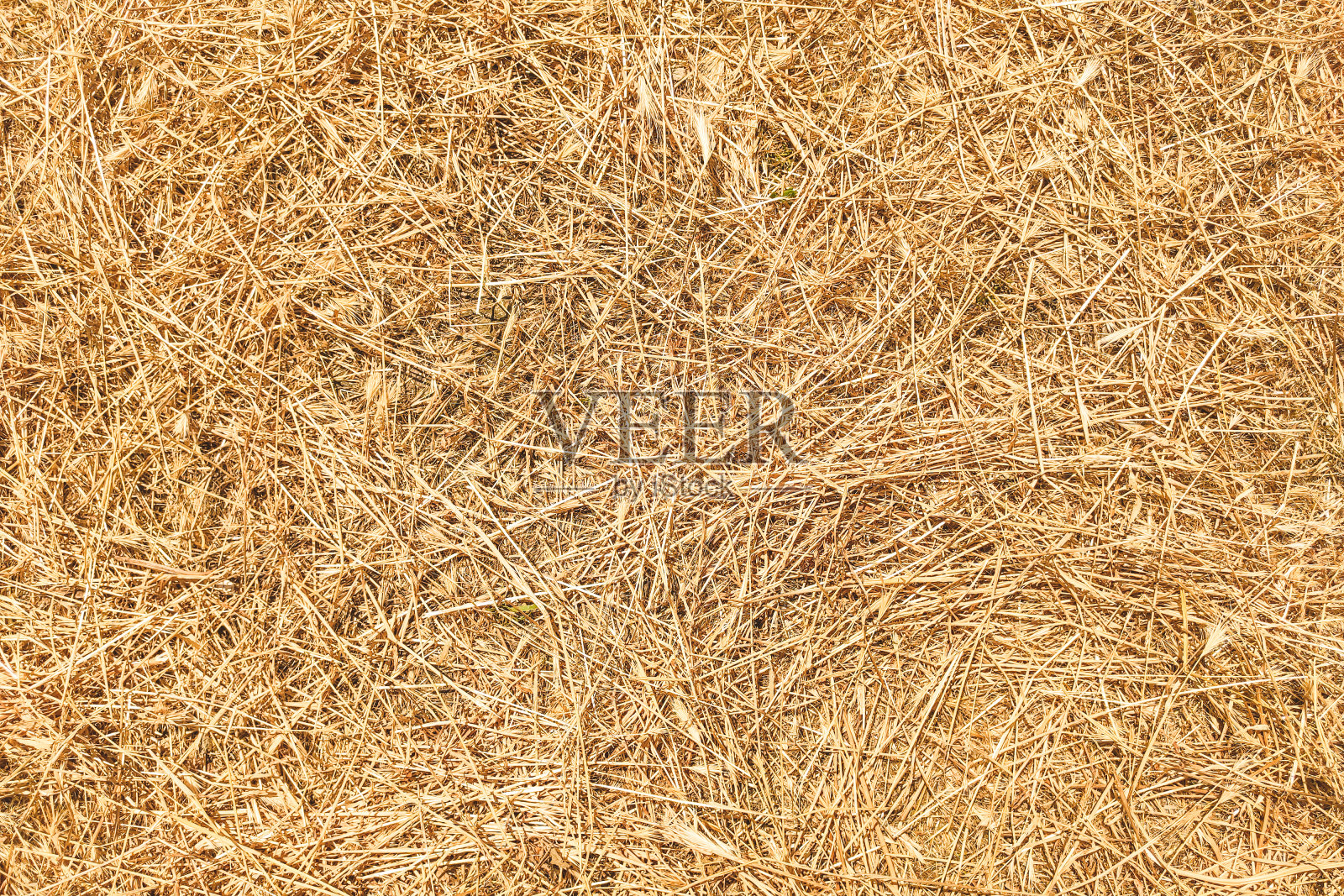 剪下的干草的纹理照片摄影图片