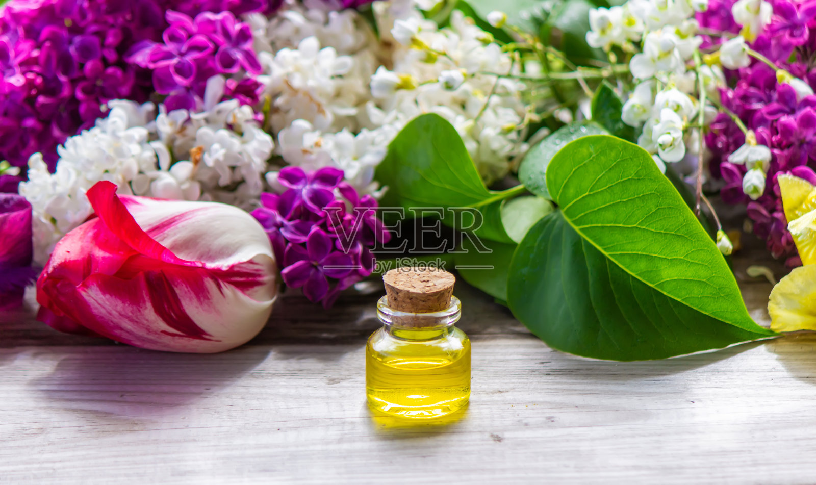 花的精油。水疗中心。有选择性的重点照片摄影图片