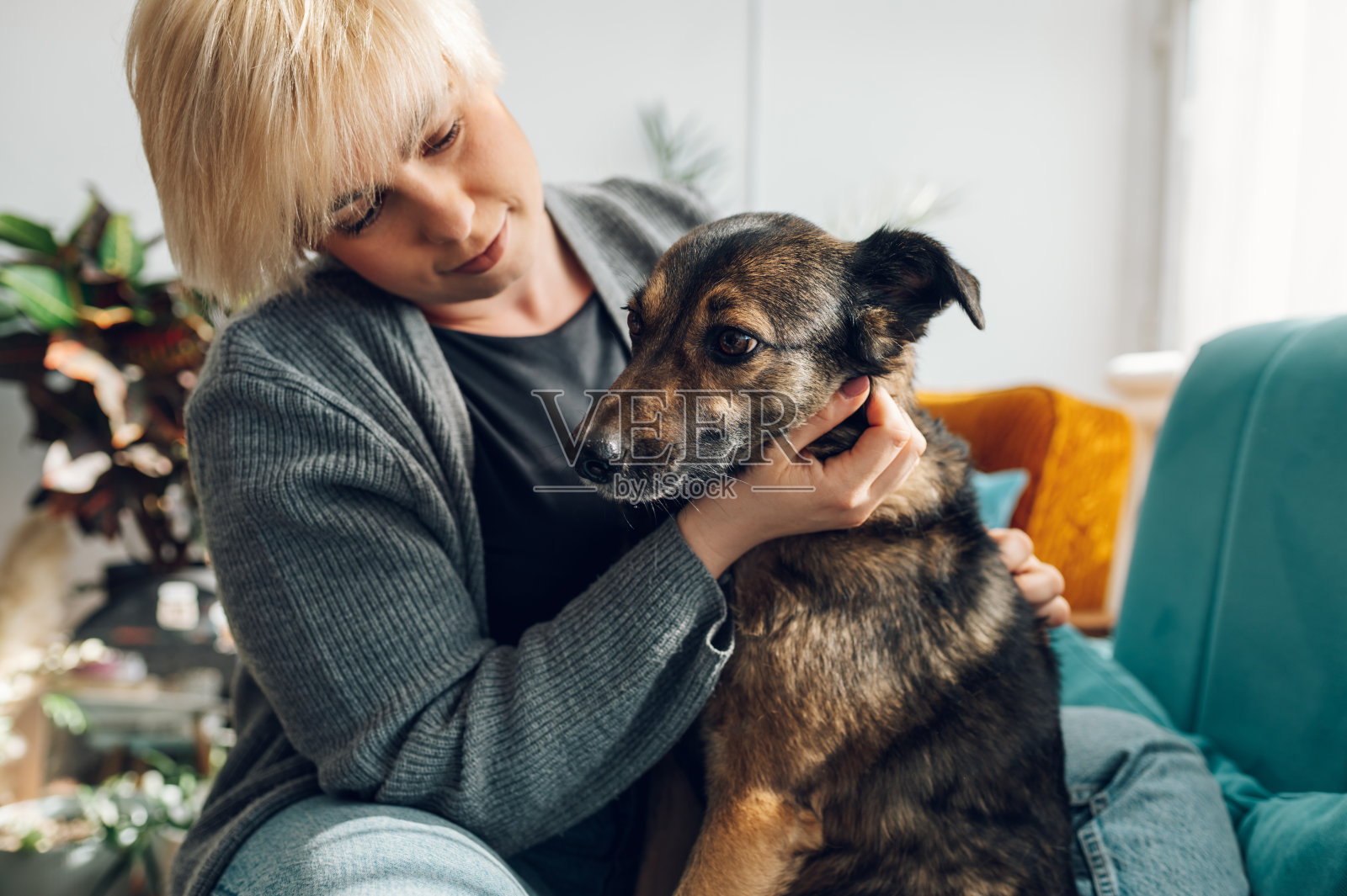 一个女人在家里的沙发上抱着她的狗玩照片摄影图片