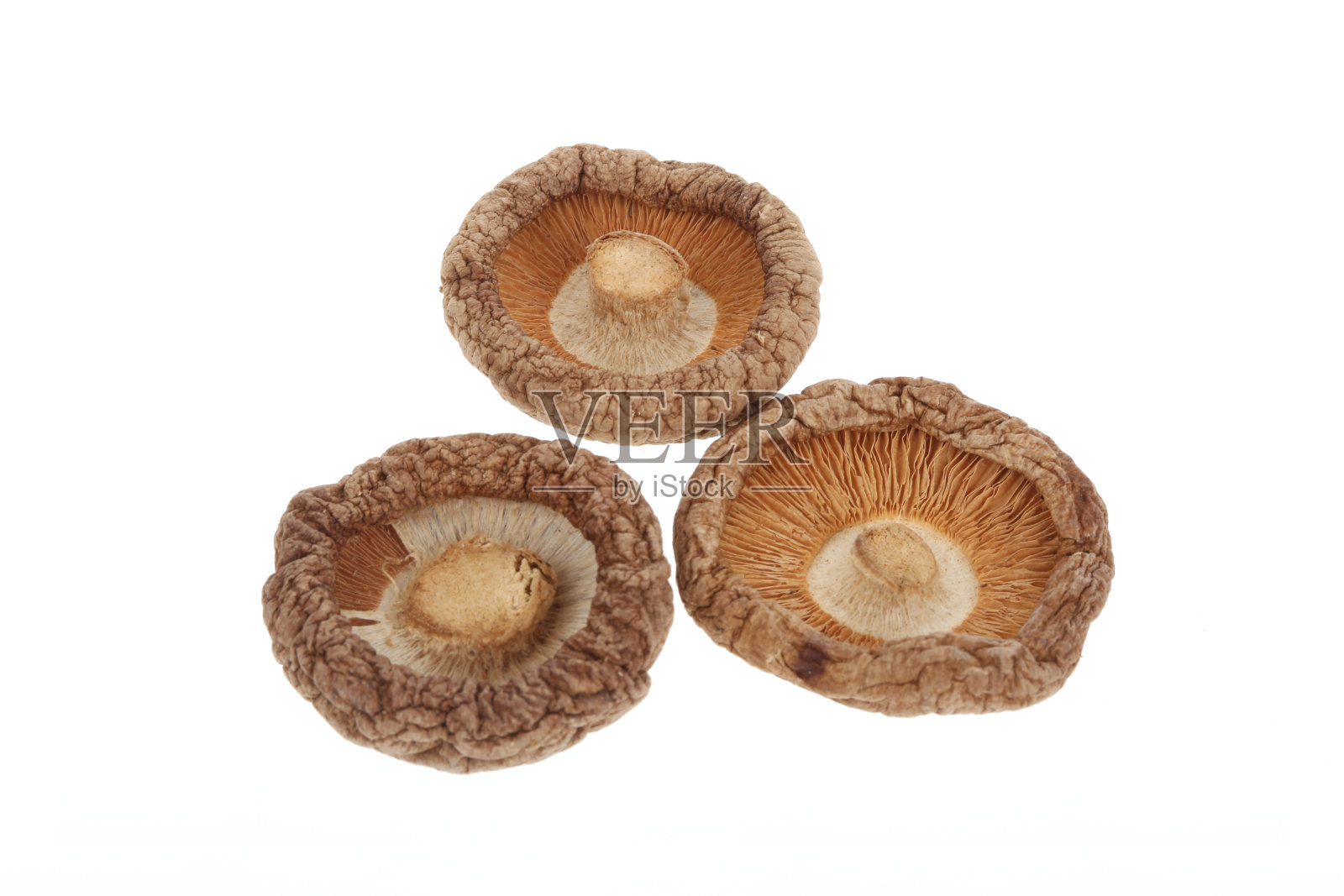 一堆蘑菇照片摄影图片