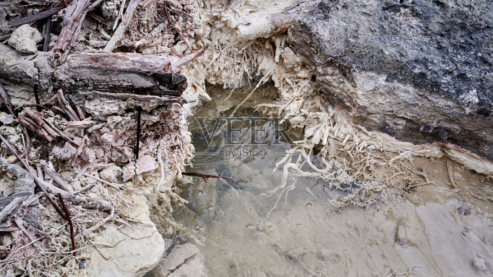 白泥和树干散落照片摄影图片