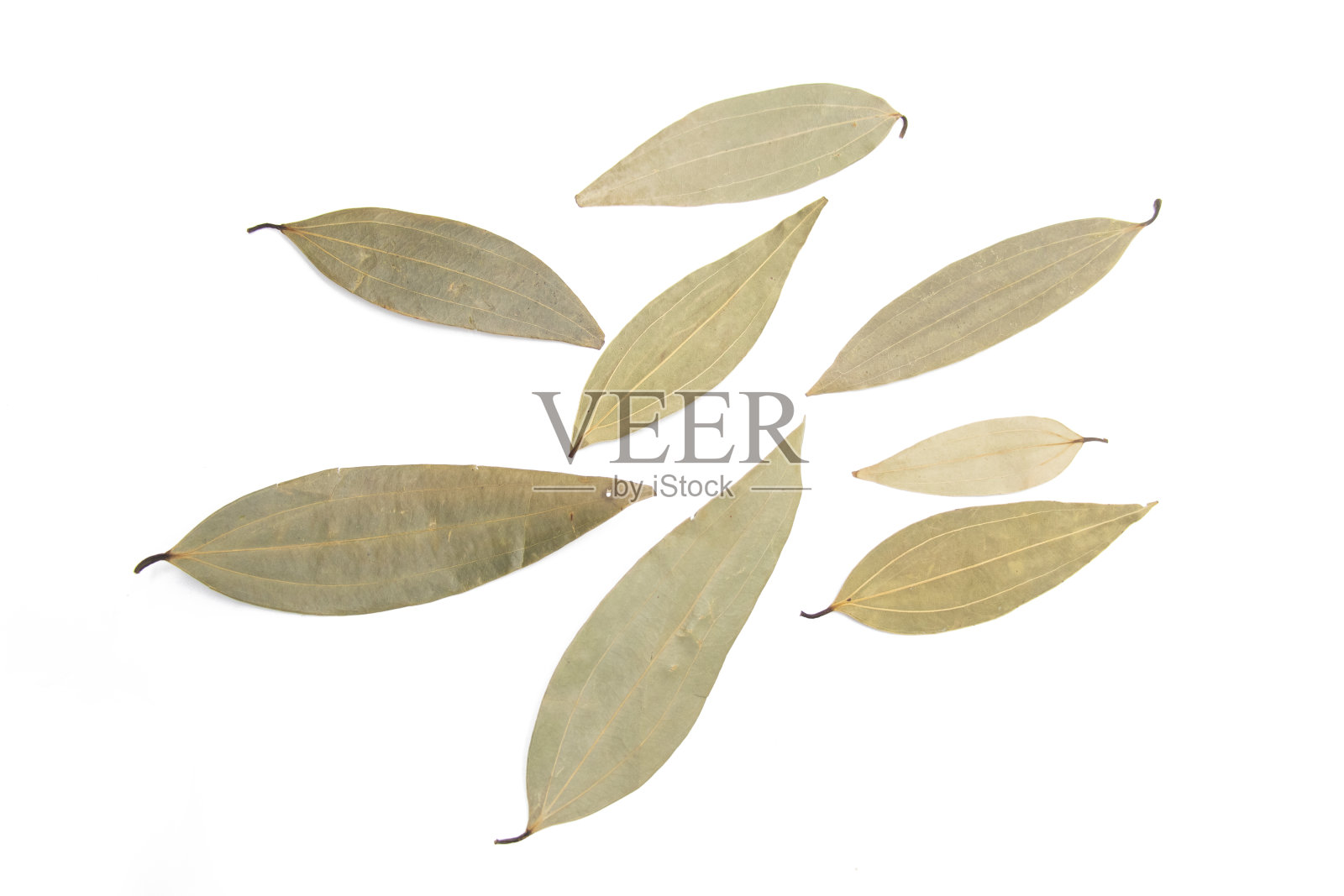 干燥的月桂叶在白色背景上孤立。晒干月桂叶调味料收集俯视图照片摄影图片