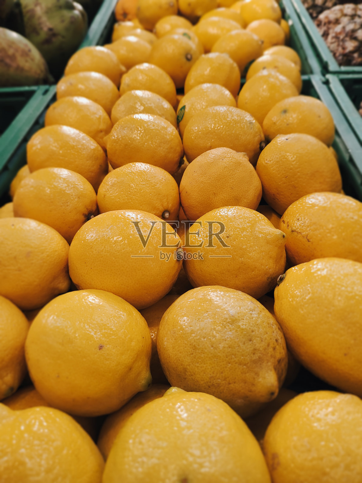 成熟的有机西西里柠檬展示照片摄影图片