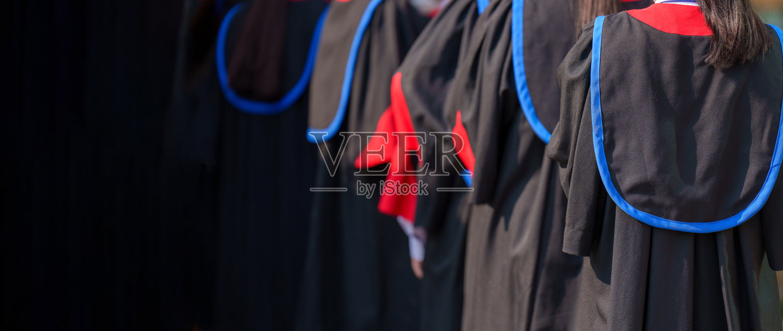 毕业典礼上戴学士帽的学生从后面看照片摄影图片