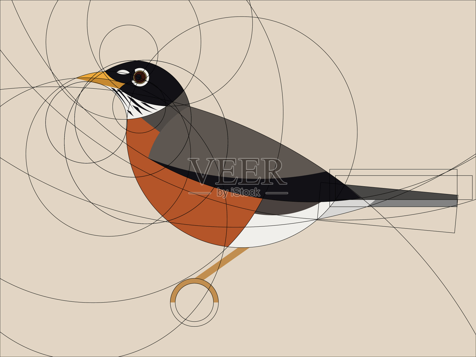 美国罗宾设计元素图片