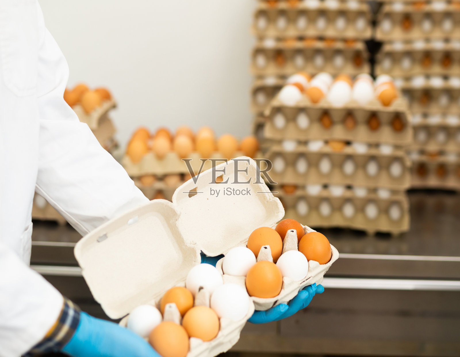 家禽农场工人拿着装有鸡蛋的纸板托盘照片摄影图片