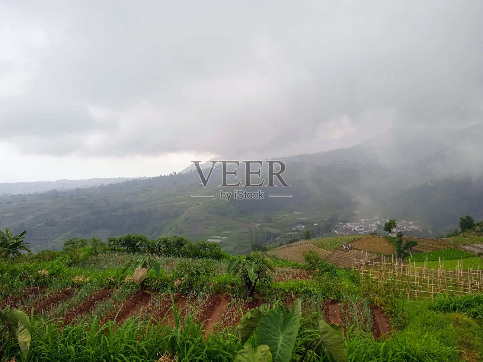 视图照片摄影图片