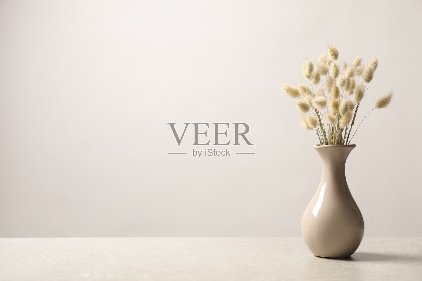 花瓶里的干花放在浅背景的桌子上。空间的文本照片摄影图片