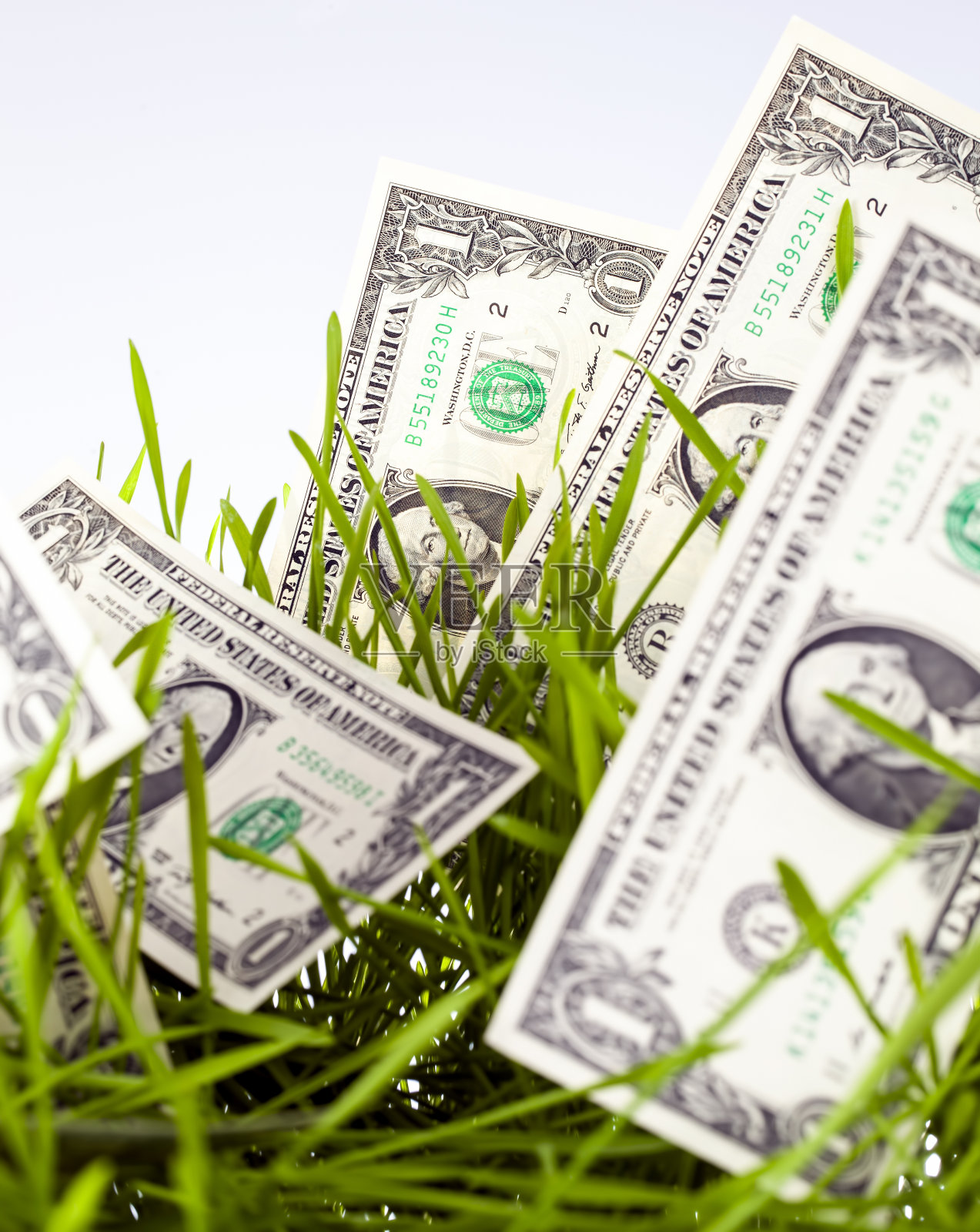 农田里的美国钱照片摄影图片