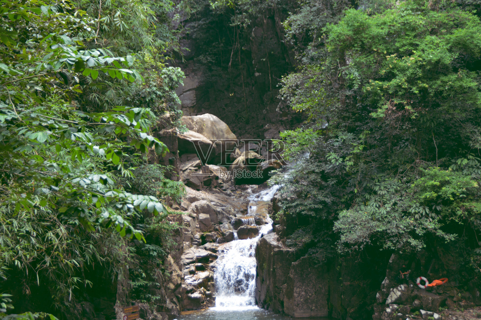 泰国查塔武里的Namtok Phlio瀑布。樟武里最有名的瀑布周围有一棵大树。照片摄影图片