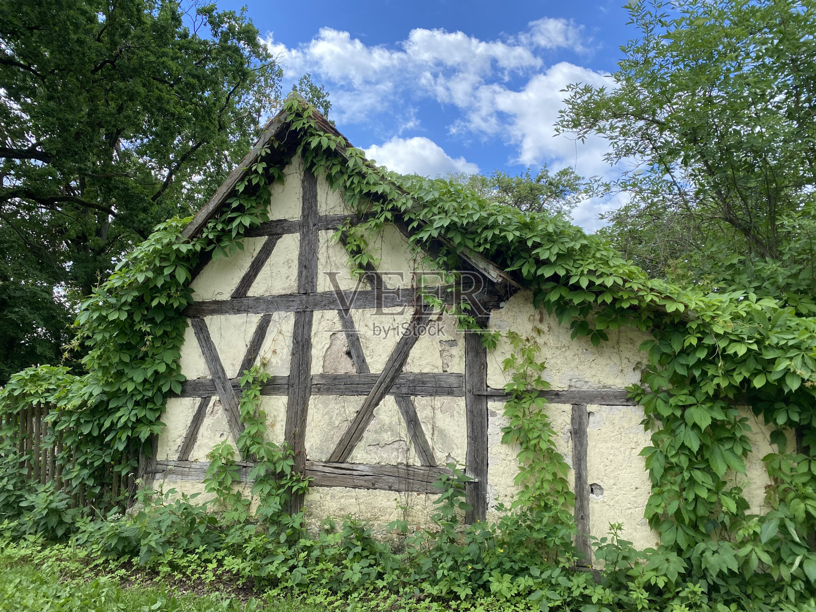 老木架谷仓照片摄影图片