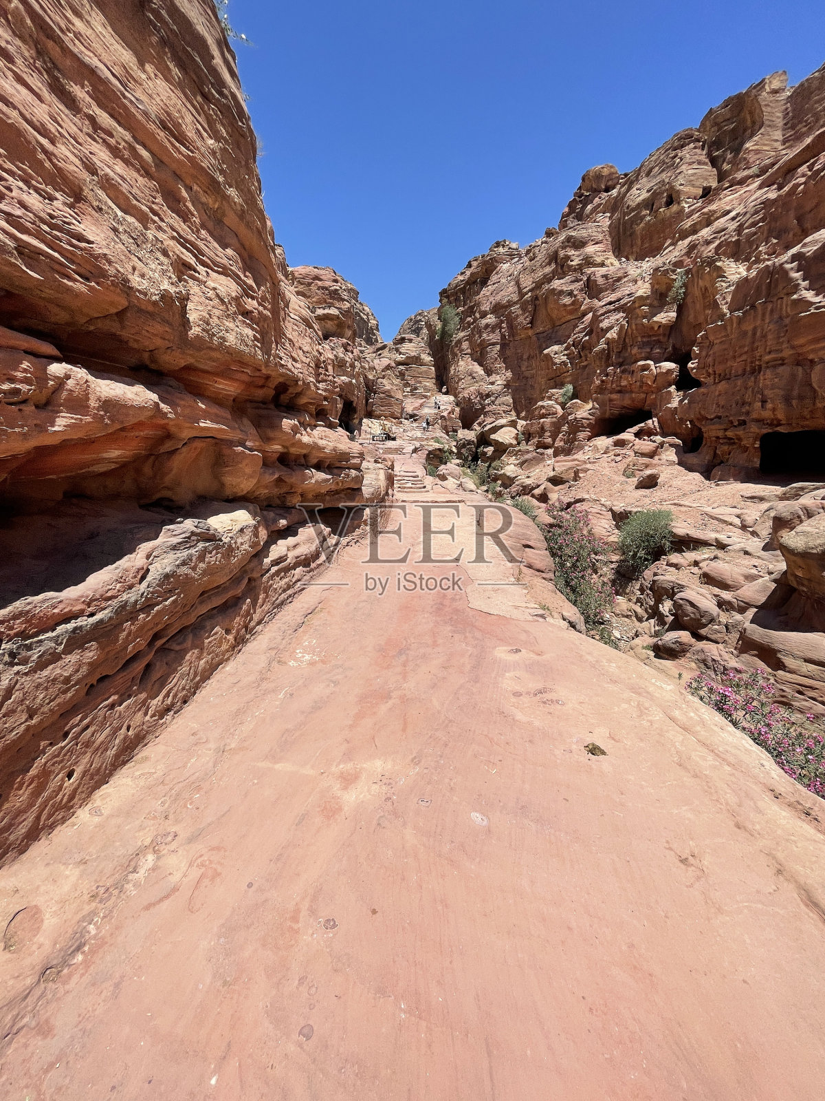 修道院小径照片摄影图片