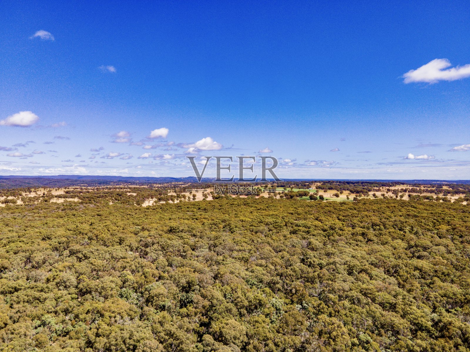 澳大利亚Emmaville的丛林土地照片摄影图片