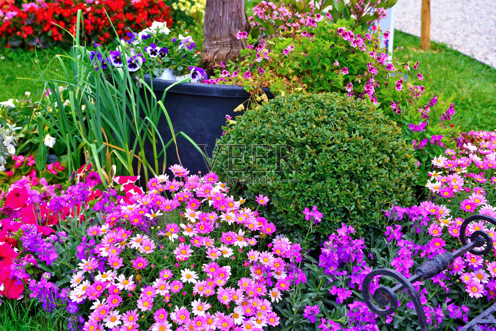 神经热那亚意大利照片摄影图片