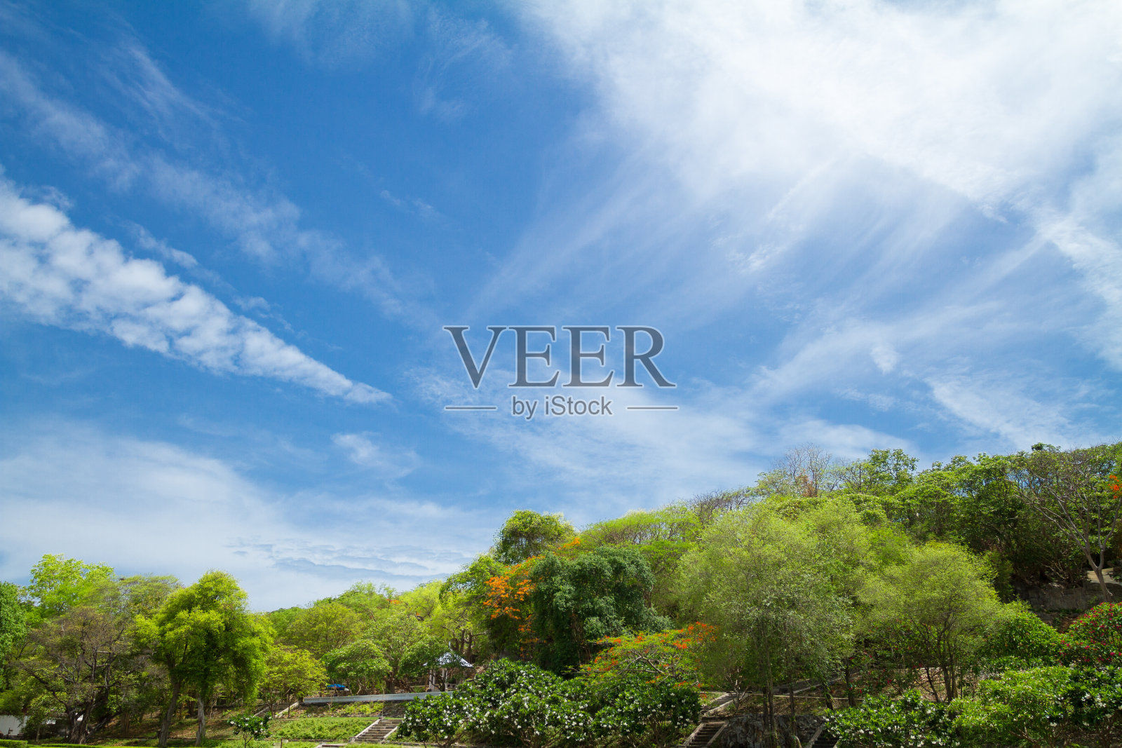 四厂岛热带树木丛生的山丘照片摄影图片